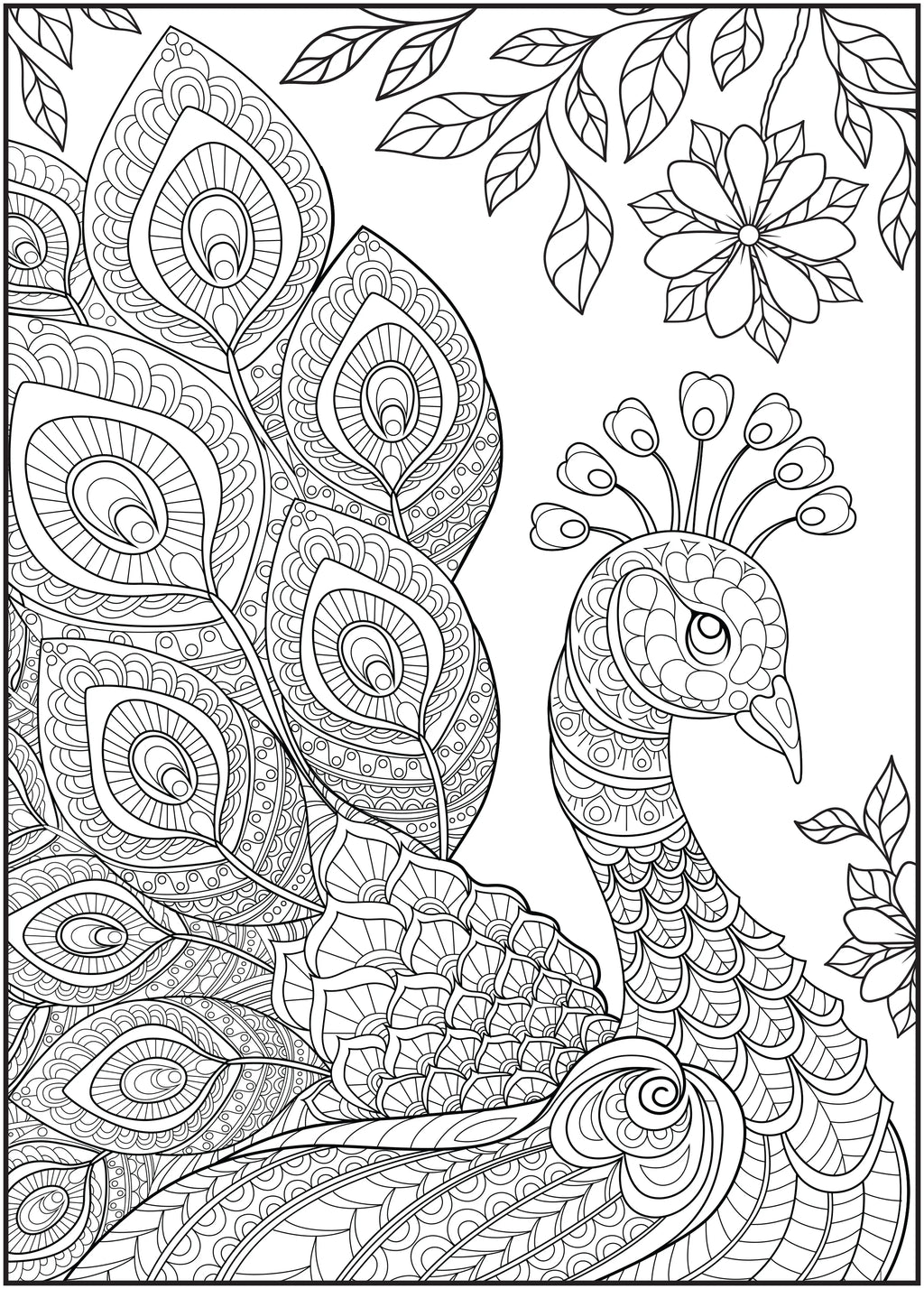 64 Pages Adult Coloring Book H778333
