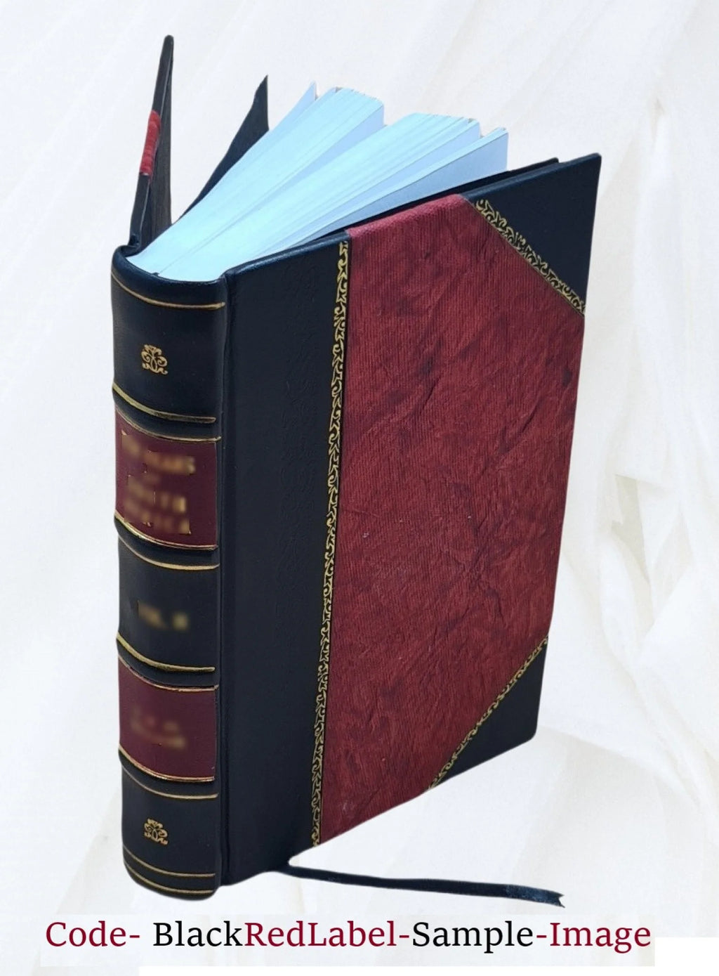 Canvas Canoe O369613