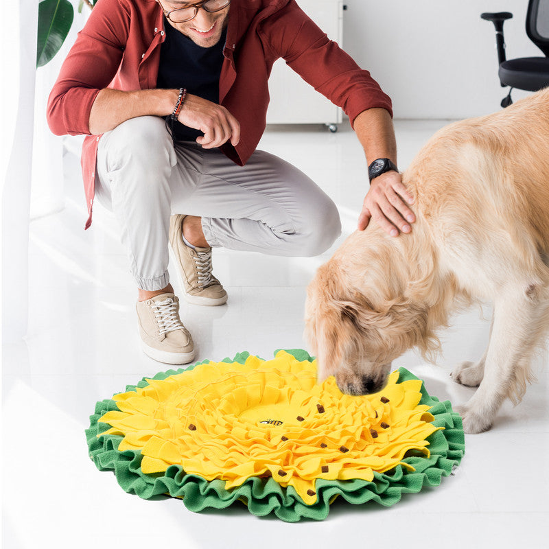Snuffle Mat for Dogs, 26 Inch G752889