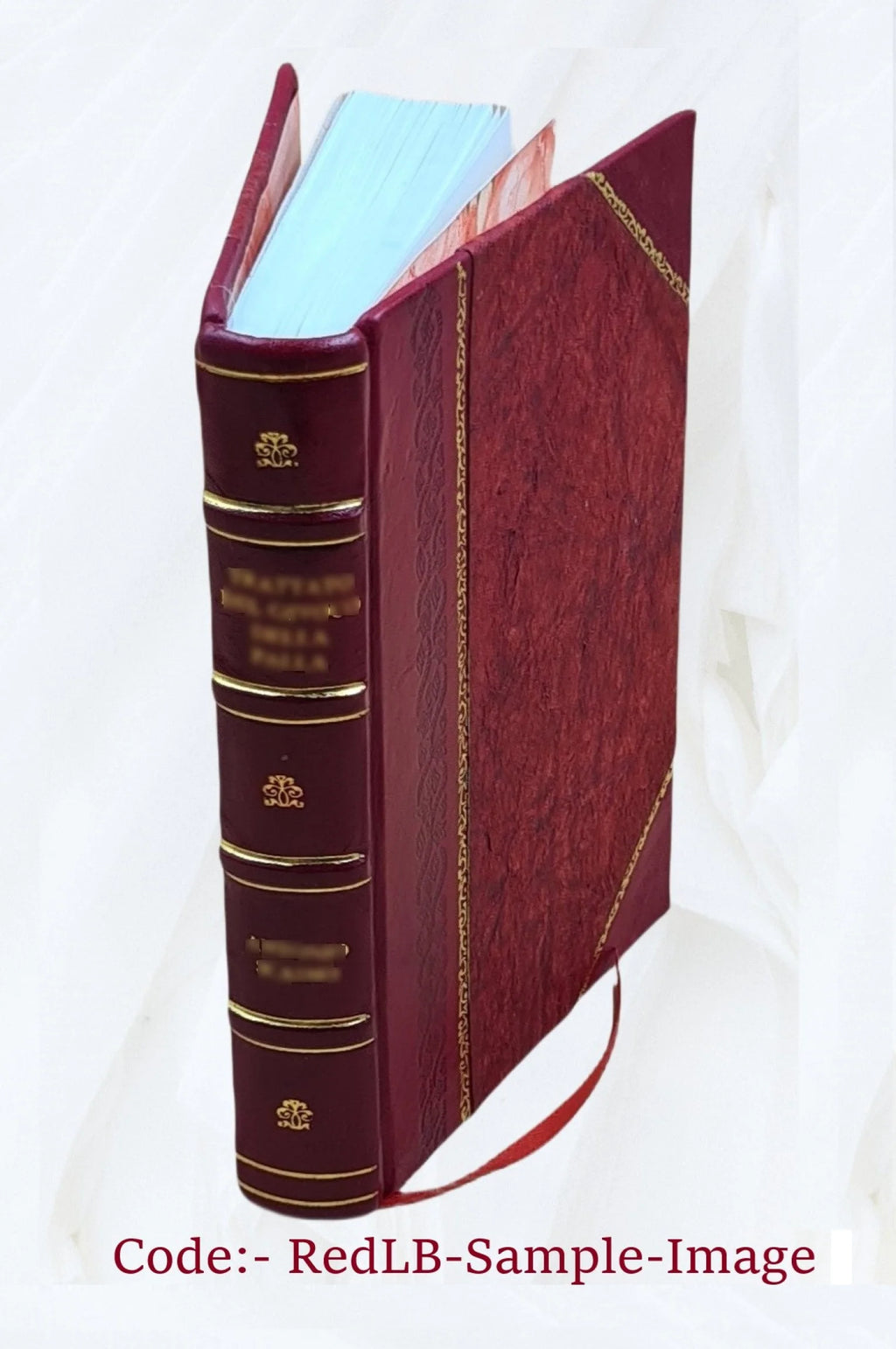 Canvas Canoe O369613